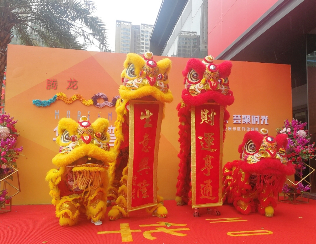 深圳市騰龍文化傳媒有限公司