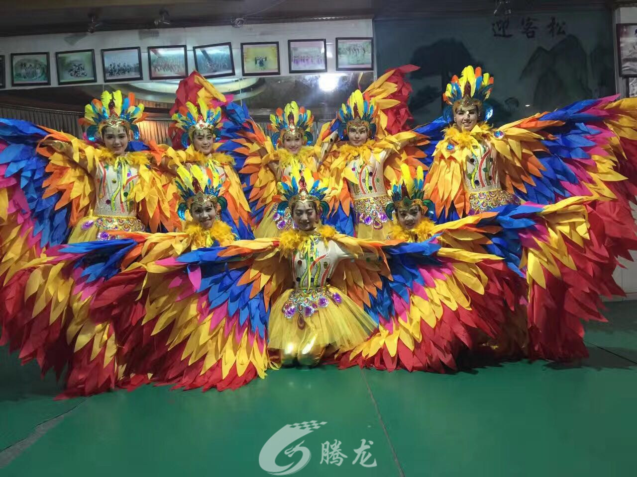 深圳市騰龍文化傳媒有限公司